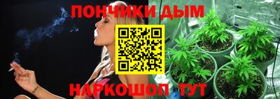 гашик Бердск