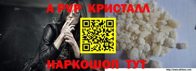 гашик Бердск
